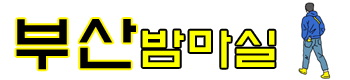 부산밤마실 로고