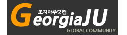 [미국]조지아주닷컴 로고