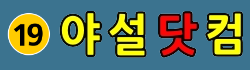 야설닷컴 로고